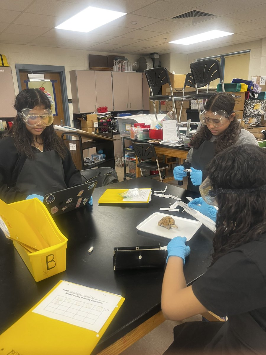 William Penn Middle School 49 tweet media