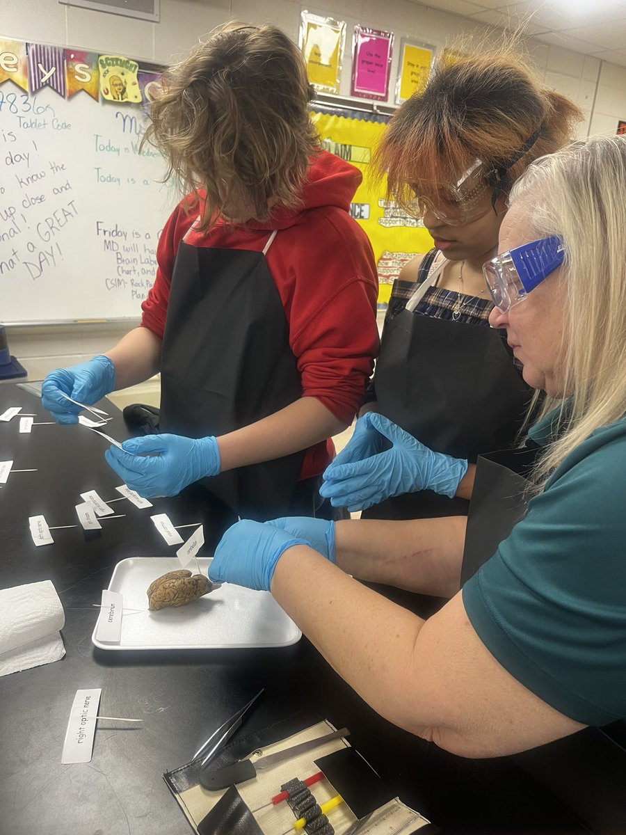 William Penn Middle School 49 tweet media