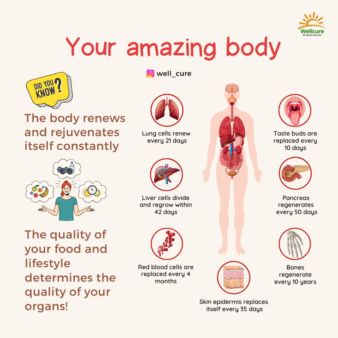 well_cure's tweet photo. Fuel your body with the right choices and watch it thrive naturally. 🌿 Start nurturing yourself today—because you’re worth it. 💚

#TREASURE #healthylifestyle #HealingJourney #HealthyEating https://t.co/E4i8yzAuuj
