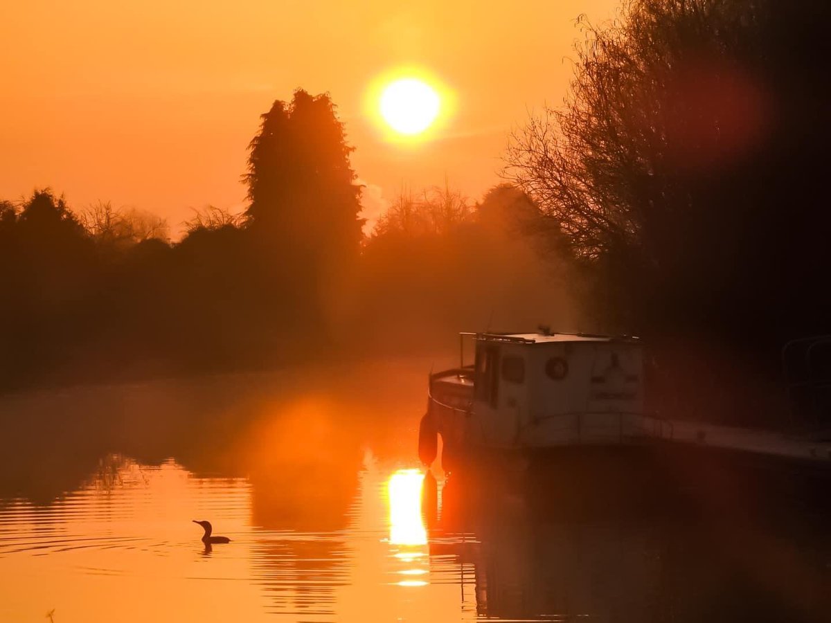The canals are the perfect place to visit and do some wildlife spotting. 🔎🦅 

From herons to moorhens, swans to otters, there's plenty of creatures to see along the water. 🦢 

What wildlife have you spotted along the canals recently? Share your snaps with us 📸 

<a href="/NatureScot/">NatureScot</a>