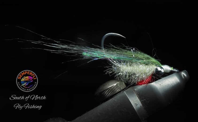 semperfli's tweet photo. Braedan De Lange uses our new 15mm Competition Chenille, SemperFur Grizzle, Baitfish Wing and Red Sparkle Dubbing for this quick and simple saltwater baitfish fly! Great work, Braedan!
#semperfli #semperfliproteam #flytying #flyfishing #baitfish https://t.co/yzcPyj9frX