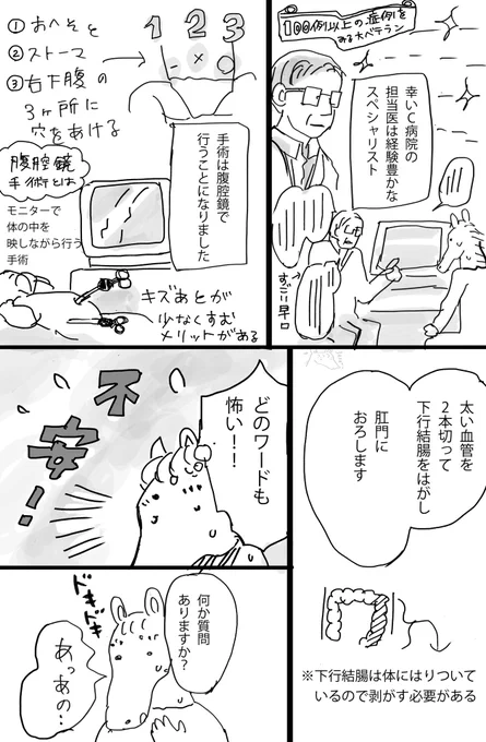子どもの術前説明(2/2)

#漫画が読めるハッシュタグ #マンガが読めるハッシュタグ
#育児漫画 #レポ漫画 #ヒルシュスプルング病 #ストーマ
#エッセイ漫画 