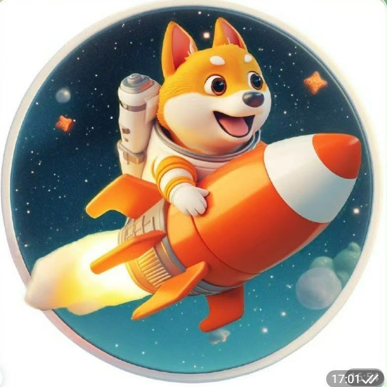 fmy48342's tweet photo. @okxchinese 火箭狗在这牛市凤口，会飞的更高，
$RDT、@BNBCHAlN @Burn_Found_
Telegram: https://t.co/bM0zQOHsYg https://t.co/txoMRl21qv