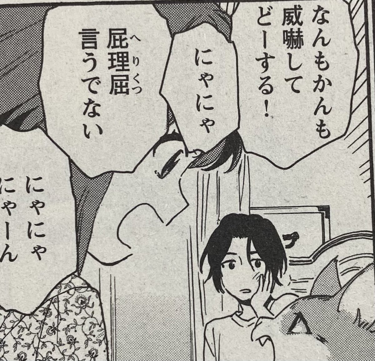 モフ猫の千代婆があなたみたい😊(母)
って言われて何事かと思ったけど多分ねこに話しかけるあたりだな… 