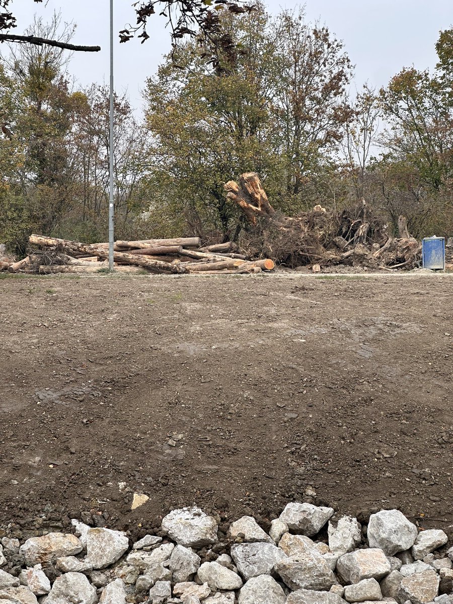 Martin Thür tweet media