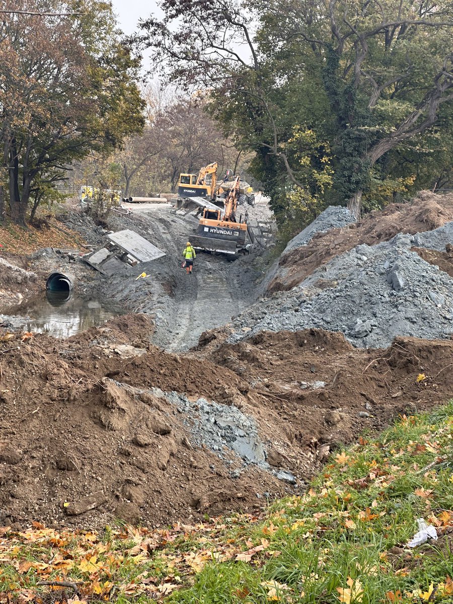 Martin Thür tweet media