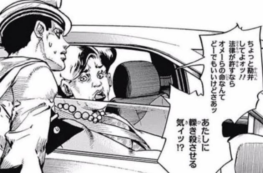 @shigeru_m2 轢かない程度に邪魔してコレ言ってやりたい 