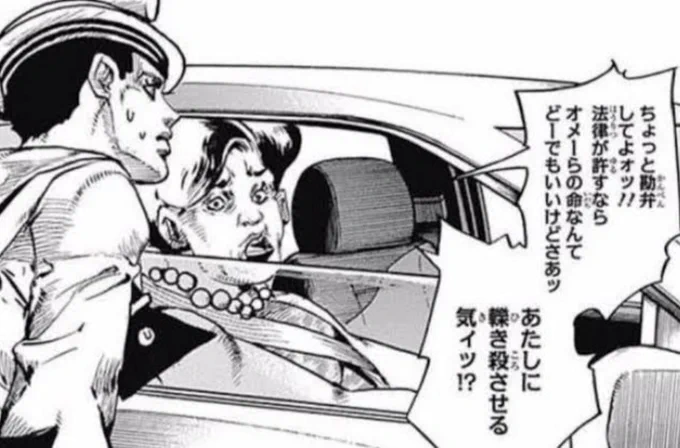 @shigeru_m2 轢かない程度に邪魔してコレ言ってやりたい 