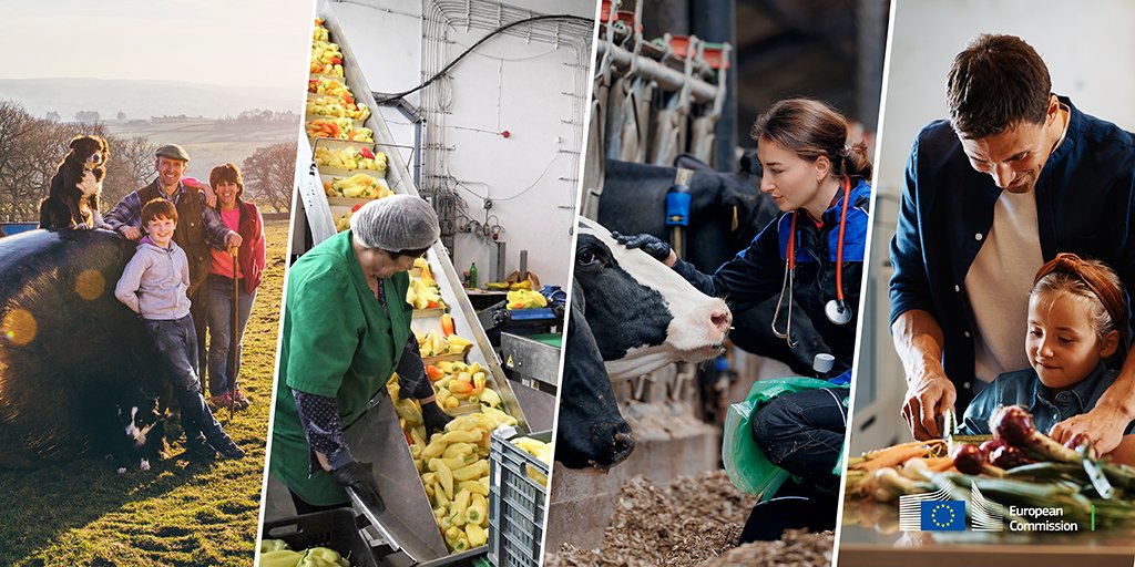 🇪🇺The European Commission has launched the European Board on Agriculture and Food

Commissioner <a href="/CHansenEU/">Christophe Hansen</a> will lead a group of stakeholders to offer high-level advice on the future of agriculture &amp; food.

Applications open until 8 January!

More details 👉europa.eu/!GMVWcD