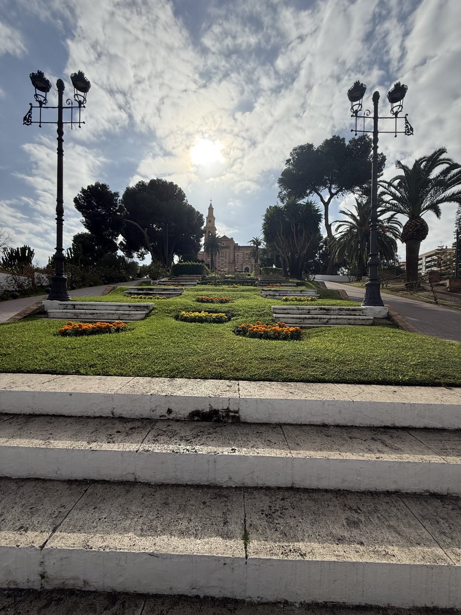 BadToxic's tweet photo. #DiscoDeer in #Motril (#ship #NorwegianPearl).
#tree #trees #Baum #palmtrees #Palmen #flowers #Blumen #Reh #DiscoReh #cruiseShip #cruise #Kreuzfahrt #Schiff #vacation #Urlaub @umiizza #NowegianCruiseLine @CruiseNorwegian https://t.co/4n1PNtxPRA