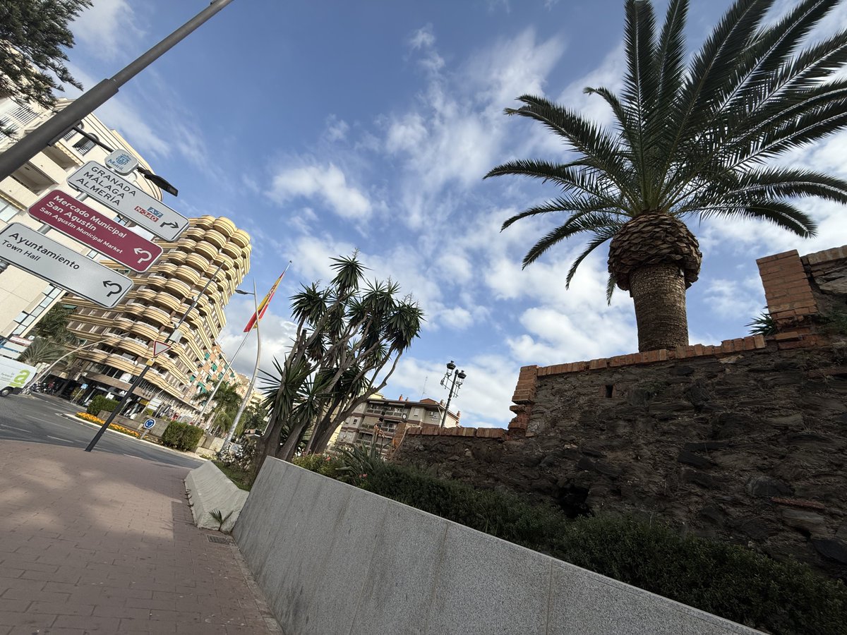 BadToxic's tweet photo. #DiscoDeer in #Motril (#ship #NorwegianPearl).
#tree #trees #Baum #palmtrees #Palmen #flowers #Blumen #Reh #DiscoReh #cruiseShip #cruise #Kreuzfahrt #Schiff #vacation #Urlaub @umiizza #NowegianCruiseLine @CruiseNorwegian https://t.co/4n1PNtxPRA