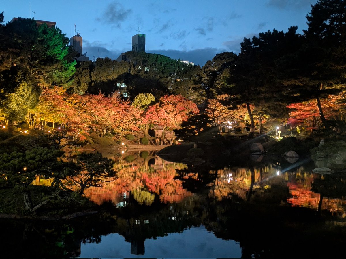 caramelnonchan's tweet photo. 広島　縮景園
紅葉ライトアップ🍁
池に映る紅葉が幻想的
2024.11.29
#紅葉🍁
#縮景園
#HITひろしま観光大使 https://t.co/CaR3iBgmhC