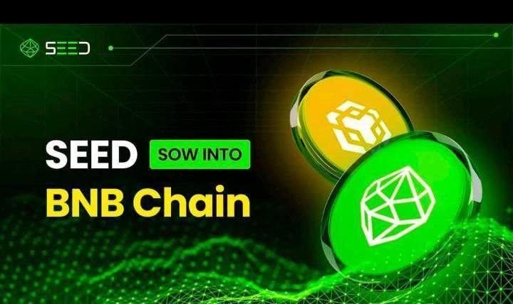 Pinetworkcr's tweet photo. 1 #SEED = $0.25 🔥🔥

Repost &amp; Like this tweet if are excited for SEED 🌱 🌱 https://t.co/mUghglKdKW