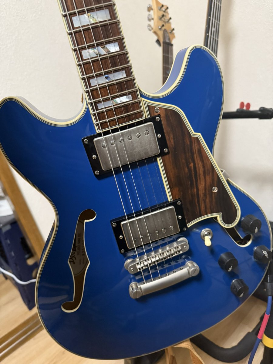 先日マイクロクラック加工してもらったD'Angelico。ダイナミクスレンジが広がって表現の幅が広がりました。とても良き。
#RegalPlace