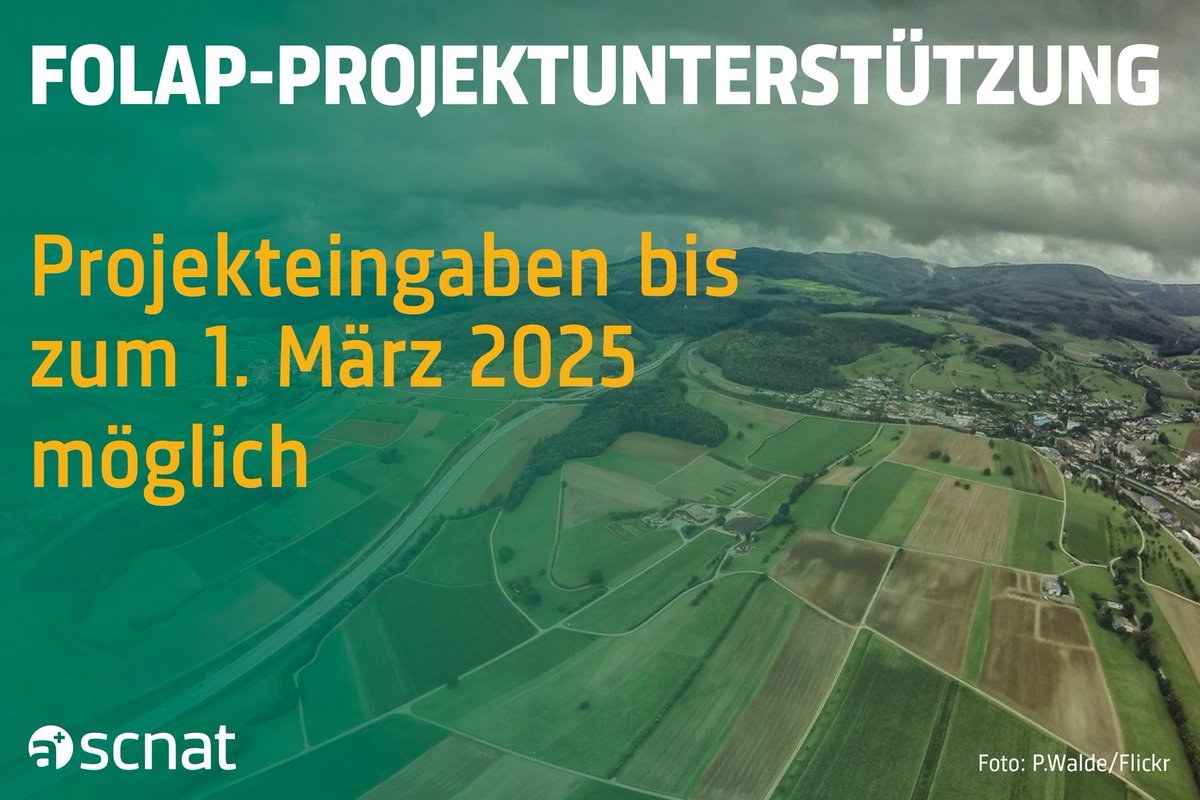 Wir unterstützen wieder Projekte zu unseren Kernthemen im Bereich Landschaft. Beantragen Sie bei uns eine Anschubfinanzierung oder Co-Finanzierung bis zum 1. März 2025. 👉 bit.ly/3BejZGS