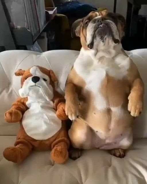 Great photography 🥰