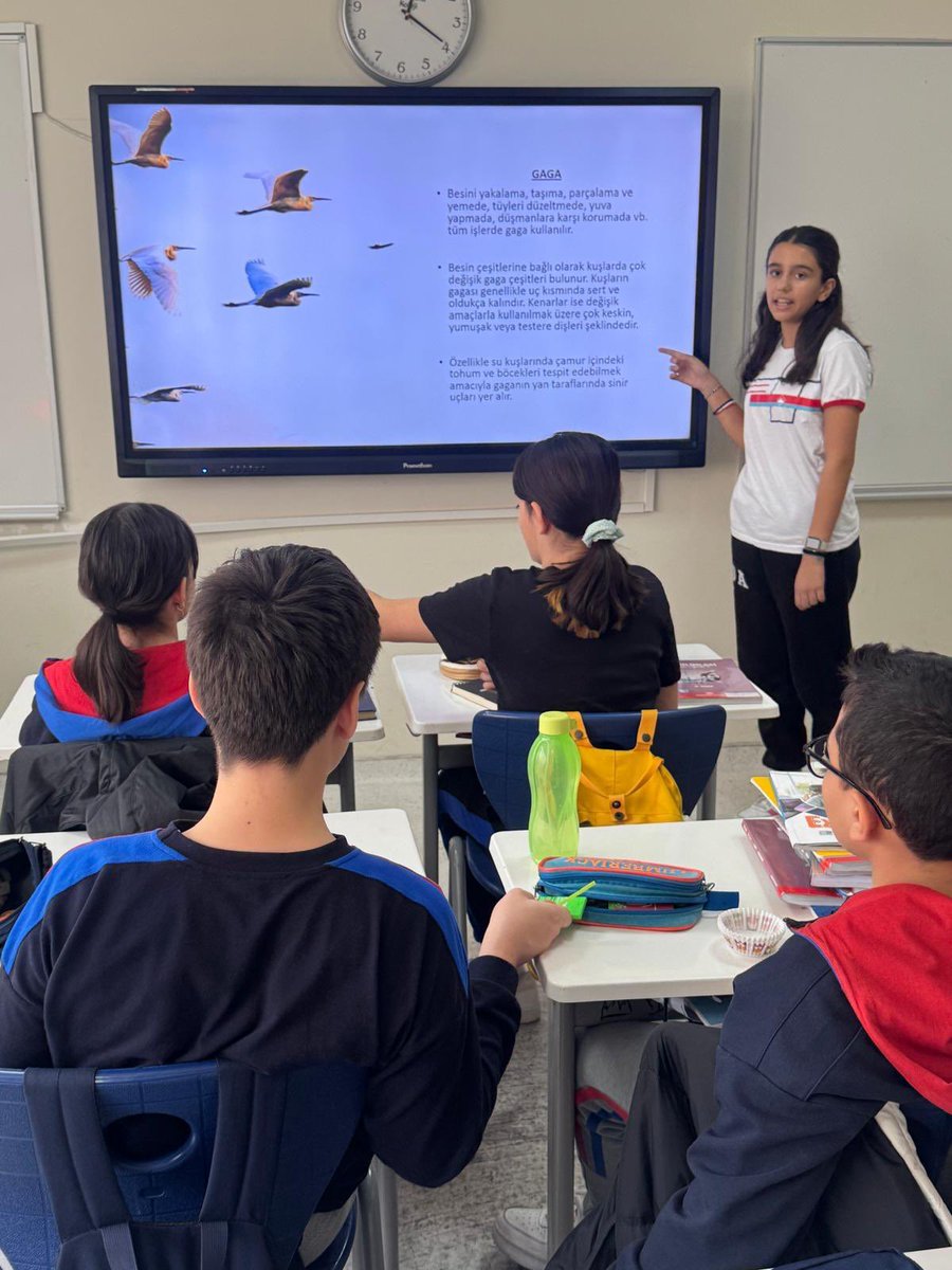 BKkarsiyaka's tweet photo. 6. Sınıflarımız Fen Bilimleri dersinde “Kuşların Beslenme Alışkanlıkları” konulu Master Junior uygulamasında kuş yemlerini ve kendi tasarımları olan kuş yemi paketlerini hazırladı
#bahçeşehirkoleji #masterjunior #feedthebirds https://t.co/1enhXYB3NN