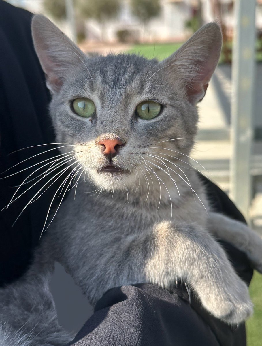 آللهم اسعِدنا براحة البال، وجمّلنا بالستر ومتّعنا بالصحة، وارزقنا رضاكَ والجنة🤍.