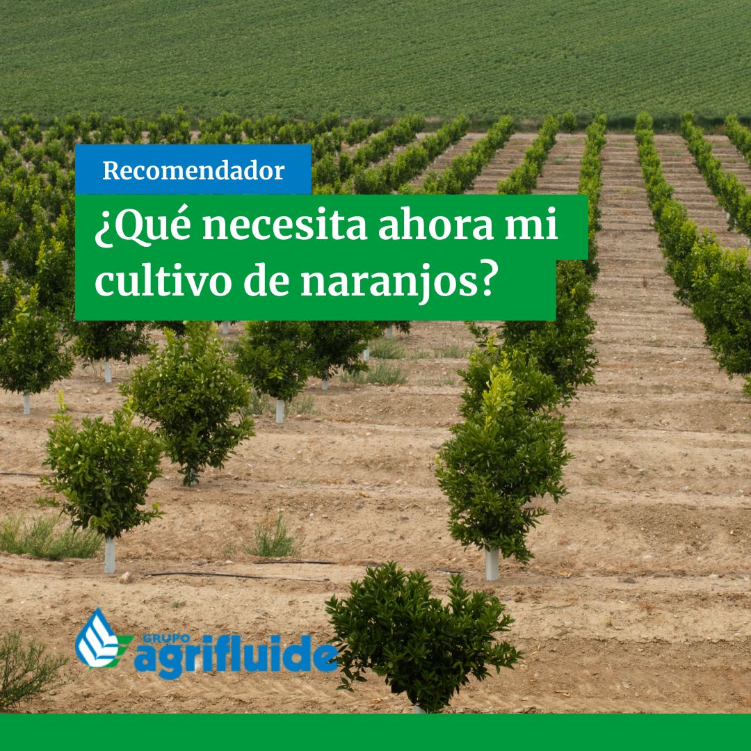 Agrifluide, SL tweet media