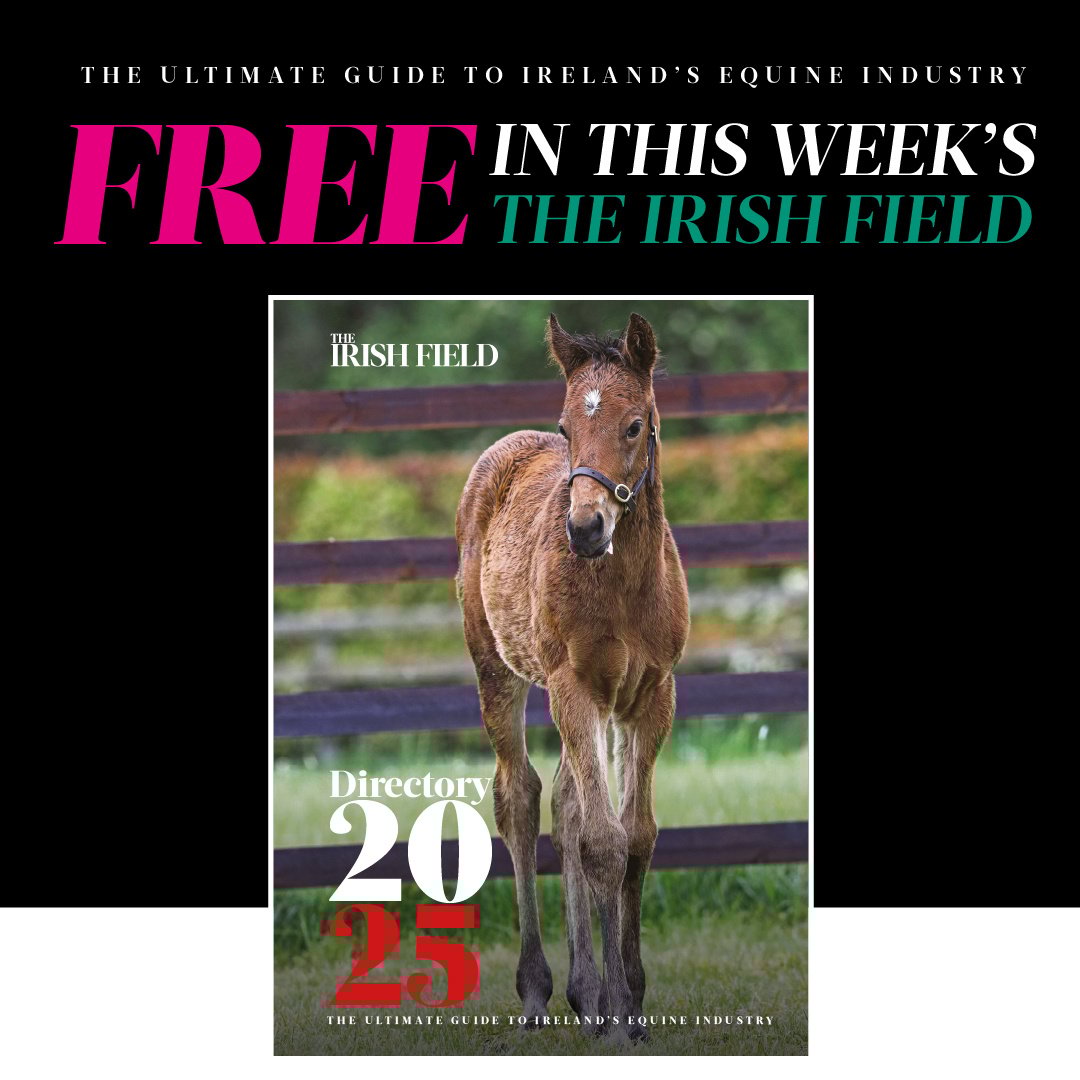 ✨The Irish Field Directory 2025
🔥FREE with The Irish Field this weekend – the 232-page essential guide to the equine industry in Ireland