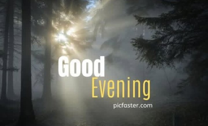 Good evening dear friend..
Have u nice and beautiful evening...❣️🌺✨