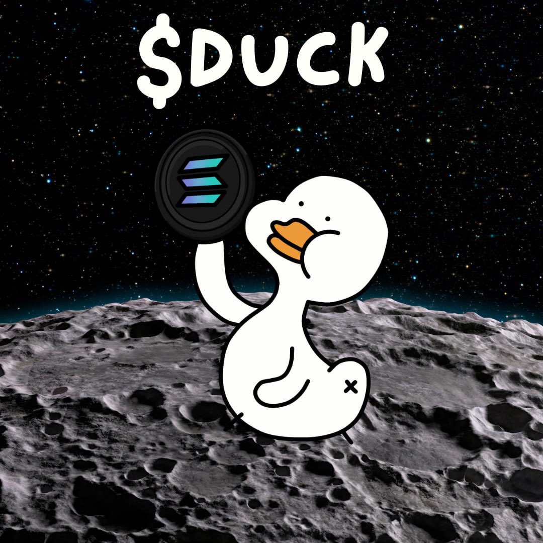 noneedduckcto's tweet photo. $DUCK stays afloat while others sink. 🦆

#DUCK #SOL https://t.co/ucIvyNOb8p
