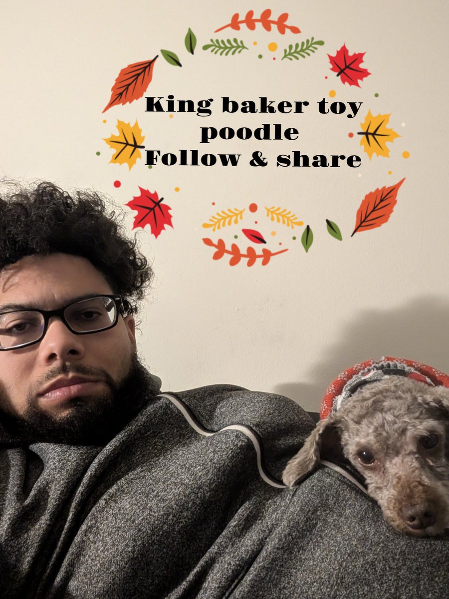 Kleworld1's tweet photo. @king_baker_toypoodle #kingtoypoodle #pleasesub
#followforfollowback #toypoodlestagram #poodlepower #poodlegrooming #poodleoftheday #poodlelovers #shareforshare #toypoodleofinstagram #toypoodlelife #toypoodlelover #toypoodleclub #toypoodleofinstagram
👇🏼
https://t.co/8TzHV8iAyk https://t.co/BaPwTq4PxF