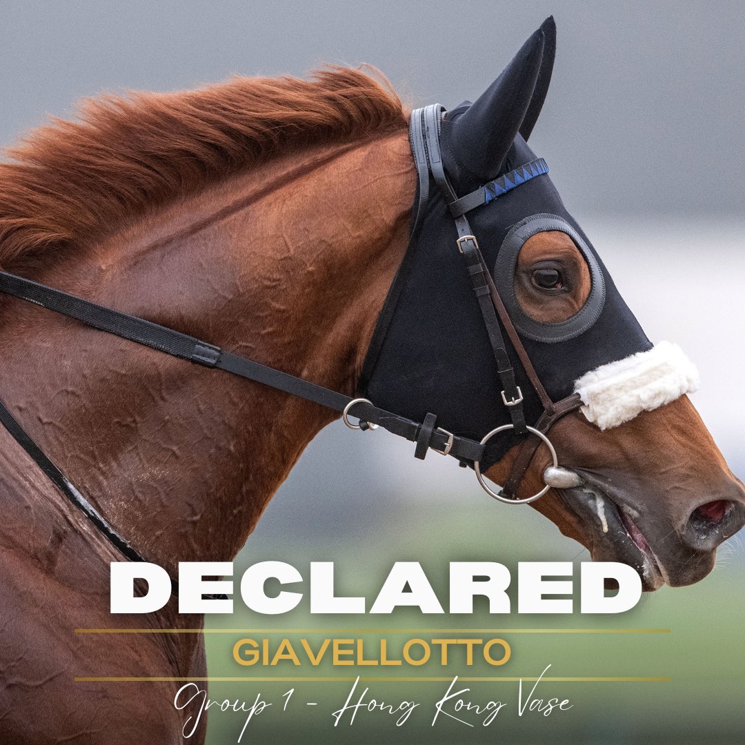 MarcoBotti's tweet photo. The well travelled Giavellotto ✈️ 🌏 has drawn barrier 5 in the Hong Kong Vase this Sunday, with @oismurphy booked to partner the Mastercraftsman entire for a fifth occasion
Best of luck to all connections! 🍀
@HKJC_Racing | @GBRI_UK https://t.co/mXFIWWha6p
