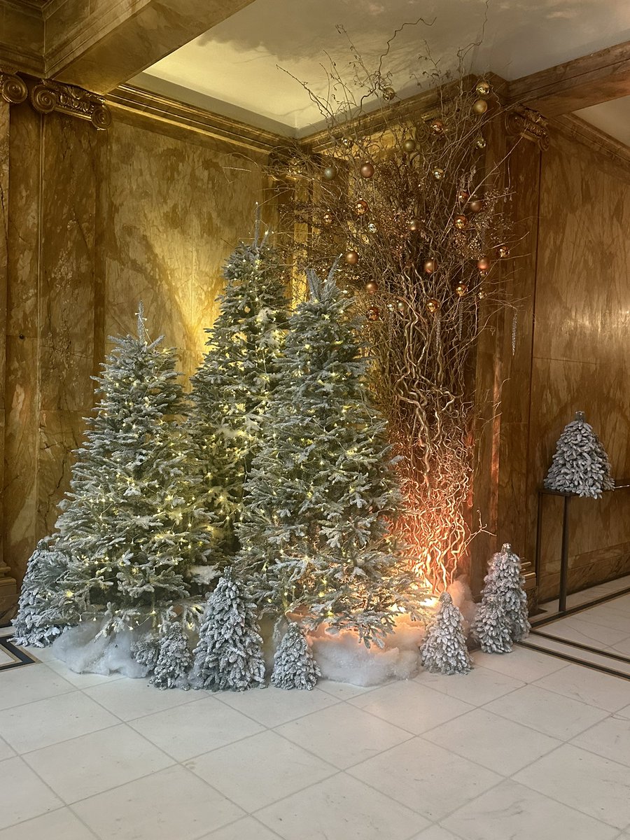 Lisa Bates-Wallis tweet media