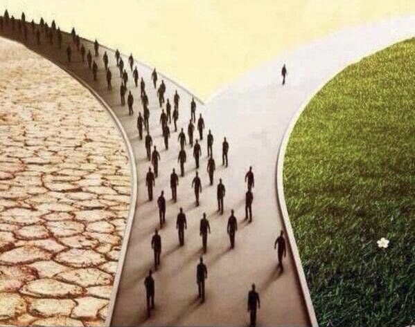 لا تقع في فخ الأكثرية !
أهل الكهف قلة 
أصحاب السفينة قلة 
الحواريون قلة
الأولون قلة 
السابقون قلة 
المؤمنون قلة
الثلة قلة 
غرقت امرأة نوح و ابنها 
وهلكت زوجة لوط وقومها 
أُبيدت القرى واندثرت كي لا يخذل القلة من كثرتهم 
اطمئن وأنت في صفهم فالعالم ليس كما يبدو لك 
لا تقع في فخ
