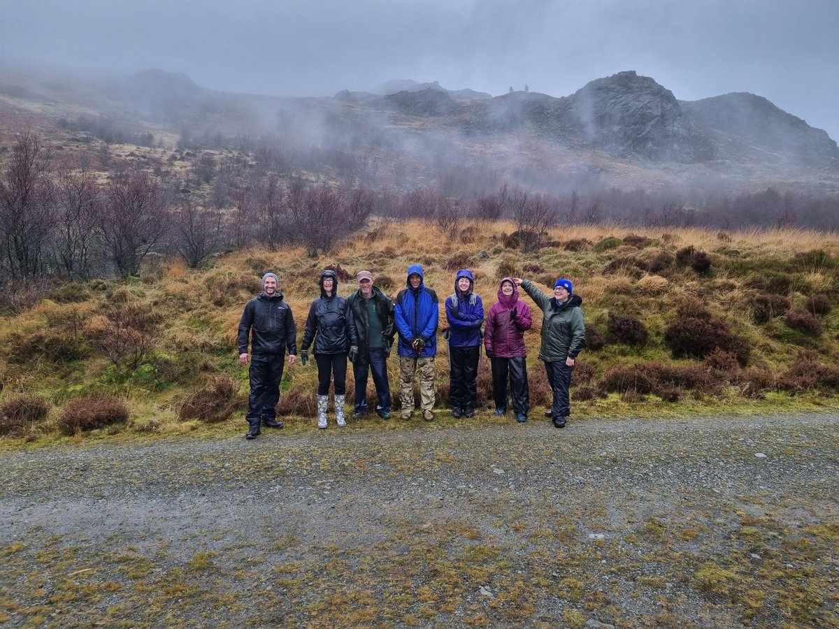 Restoring Hardknott Forest tweet media