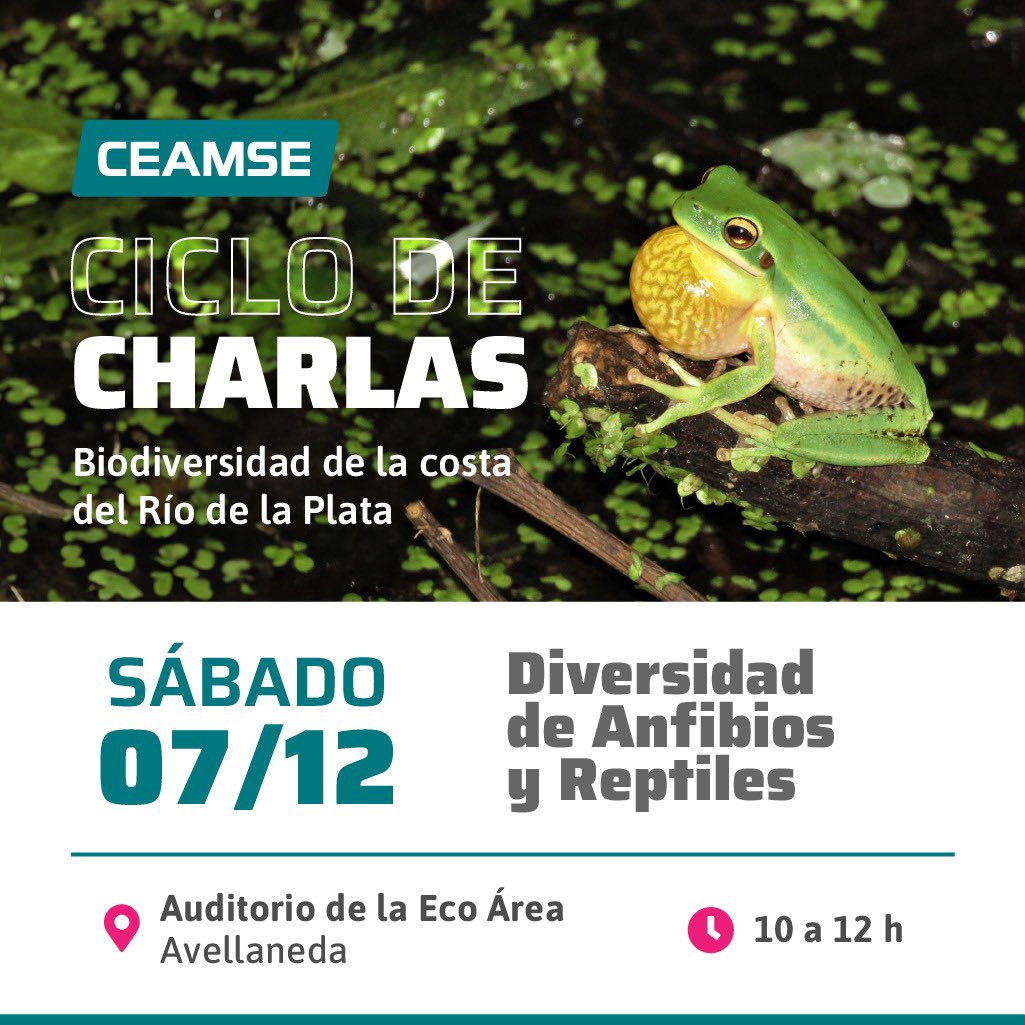 CeamseOficial's tweet photo. Una nueva jornada del Ciclo de charlas “Biodiversidad de la costa del Río de la Plata” tendrá lugar el 07/12 a las 10 hs en el Auditorio de la Eco Área de Avellaneda. La temática de este fin de semana serán los reptiles y anfibios que habitan la zona. https://t.co/MQGTXa9N0f
