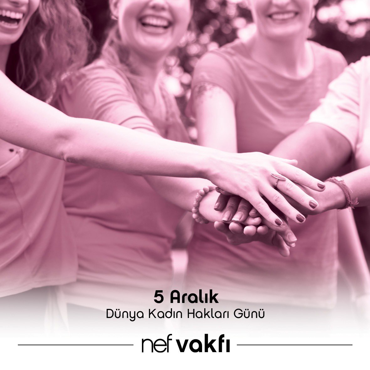 nef vakfı tweet media