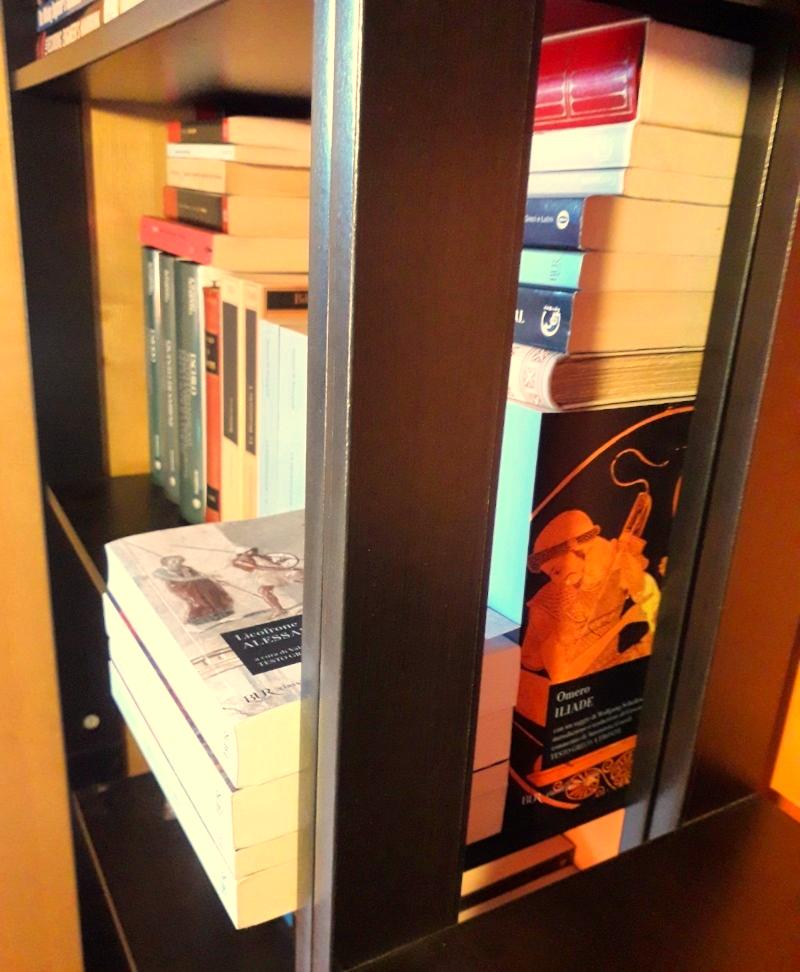 NOIRAD Band tweet media