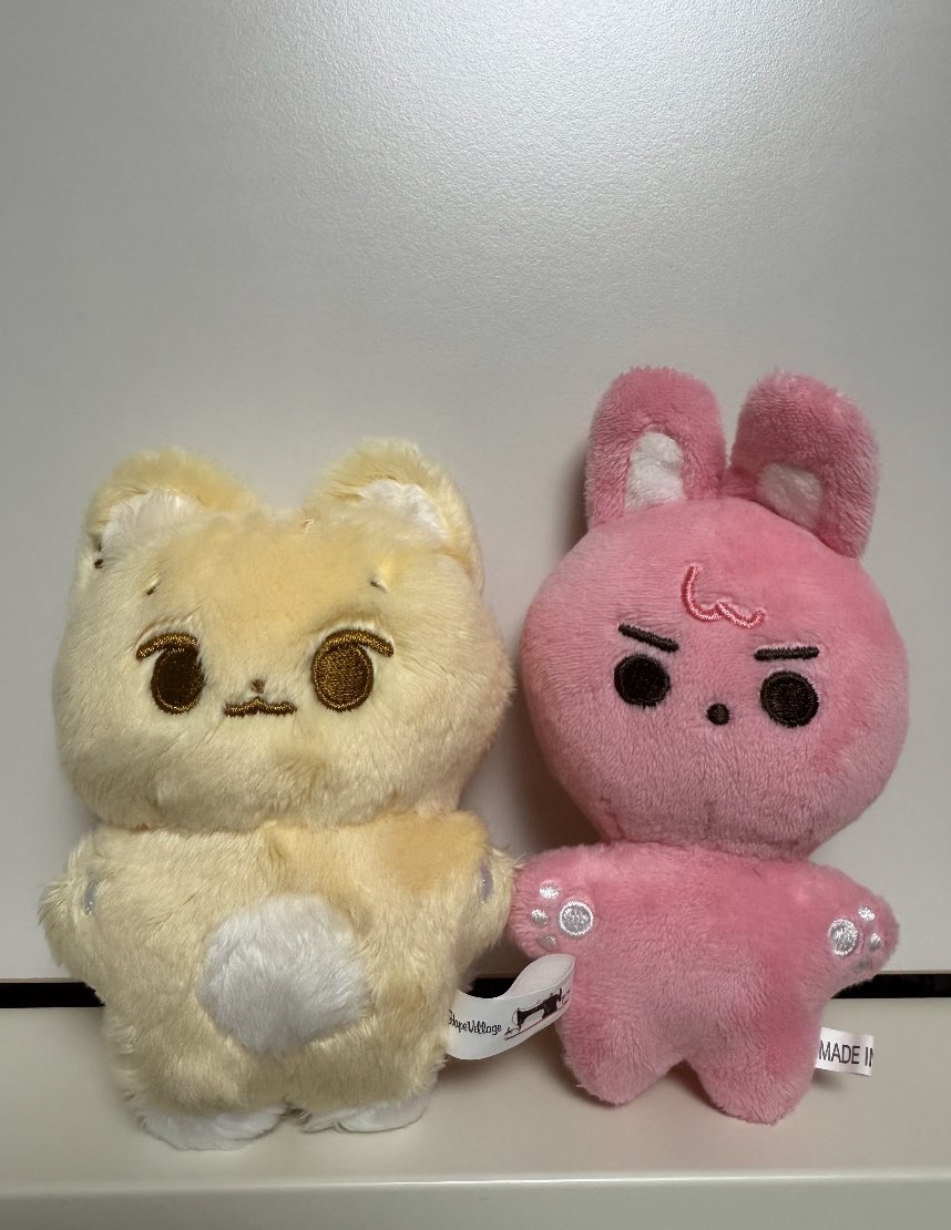 드디어…!! 너무 귀엽자나..🦊🐰
이젠 방돈만 남았다..!!🐻🐶

 #오늘만을_케냥이만을_이날을