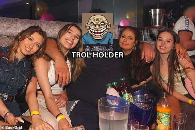 trol_memecoin's tweet photo. TROL Holder this Bullrun. https://t.co/YhhKADYyFo