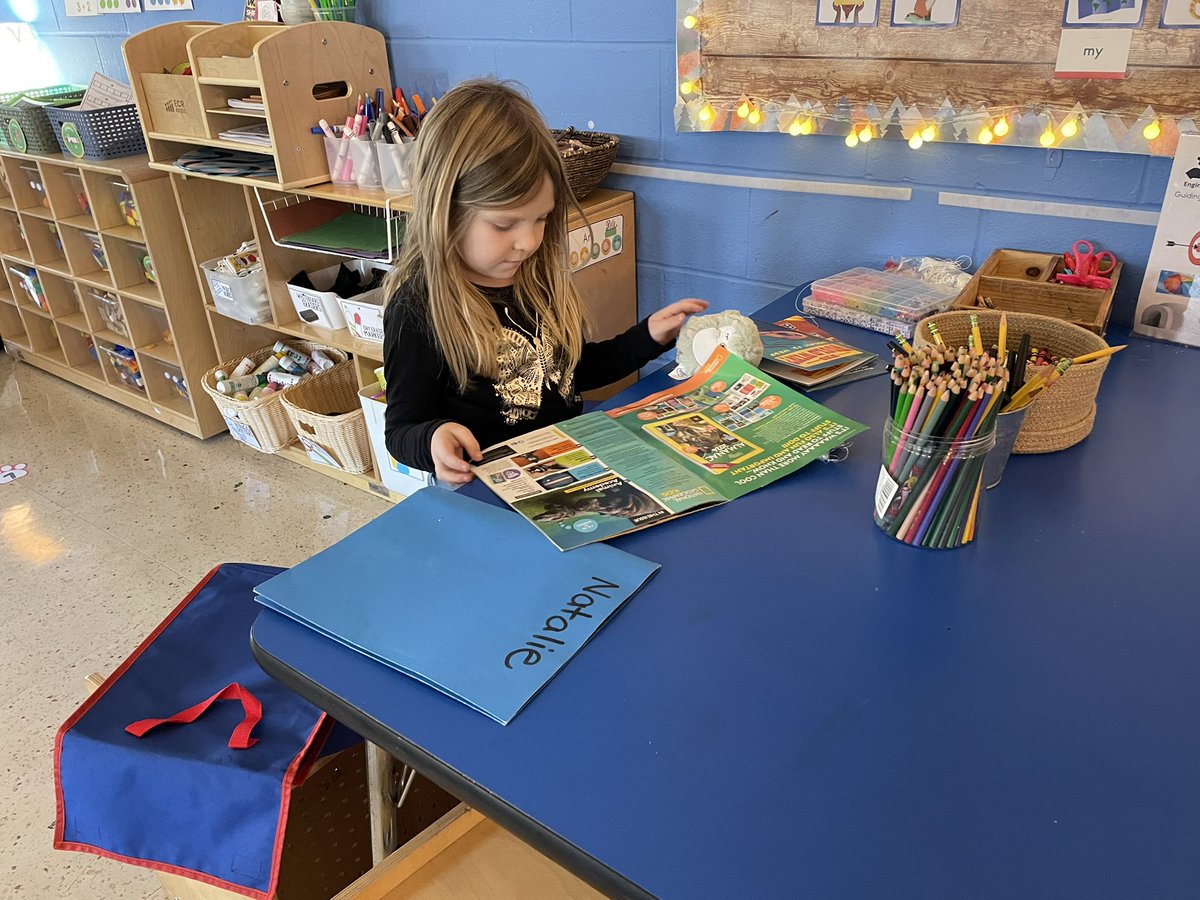 Lizzie Cavender tweet media