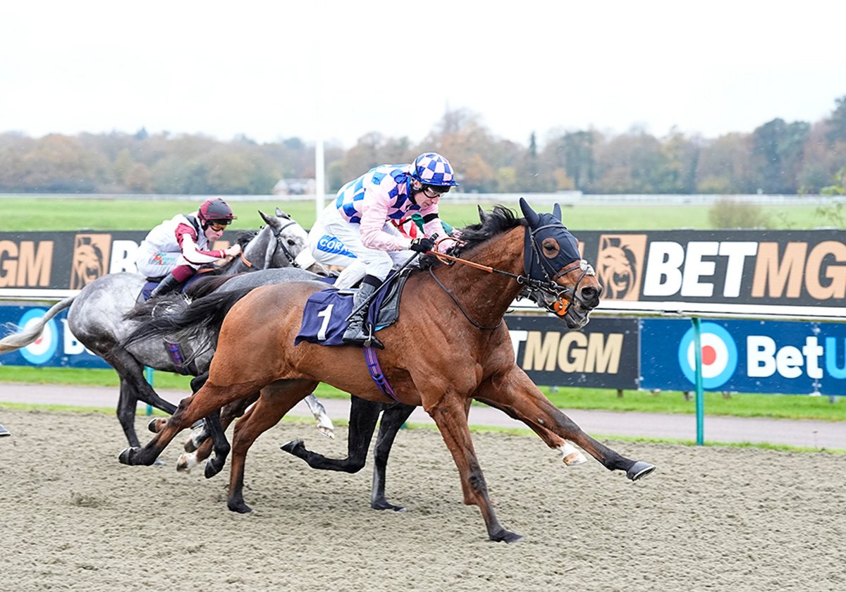 ARC (@arenaracingco) on Twitter photo October & November saw joint winners of the ARC All-Weather Horse of the Month Award!
🐴 - BARNABY (<a href="/kevinryanracing/">Kevin Ryan Racing</a>)
🐴 - HITCHED (<a href="/SimcockRacing/">David Simcock Racing</a>)
With three wins apiece, both horses win £15,000⭐️
arenaracingcompany.co.uk/media-centre/n… October & November saw joint winners of the ARC All-Weather Horse of the Month Award!
🐴 - BARNABY (<a href="/kevinryanracing/">Kevin Ryan Racing</a>)
🐴 - HITCHED (<a href="/SimcockRacing/">David Simcock Racing</a>)
With three wins apiece, both horses win £15,000⭐️
arenaracingcompany.co.uk/media-centre/n…