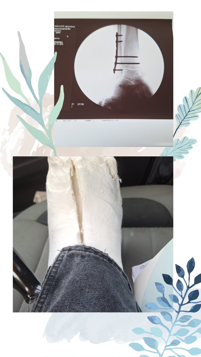 SotoRubila's tweet photo. #dia1
#recuperacion
#avefenix
#solcito
🌻 🌻 ACÁ VOY DE NUEVO...
... ENTERA O A PEDAZOS PERO VOY... 🌻🌻
S 🌻 LCITO ®
Segunda operación VAMOS
 SOL 🌞 
TU PUEDES 💪 https://t.co/Tab0i3zrbk
