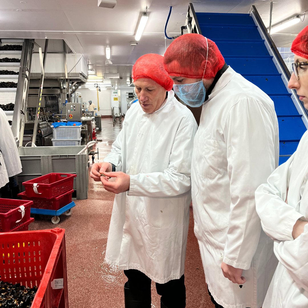 Brakes_Scotland's tweet photo. One (s)hell of a day visiting @scott_shellfish for a factory tour and tasting session last week! 🦪 🍽️
Big thanks to the team for a warm welcome and fascinating insight into sustainable shellfish production in Scotland! 🐟
#ScottishShellfish #ScottishSeafood #SustainableSeafood https://t.co/PNMPgvkpze