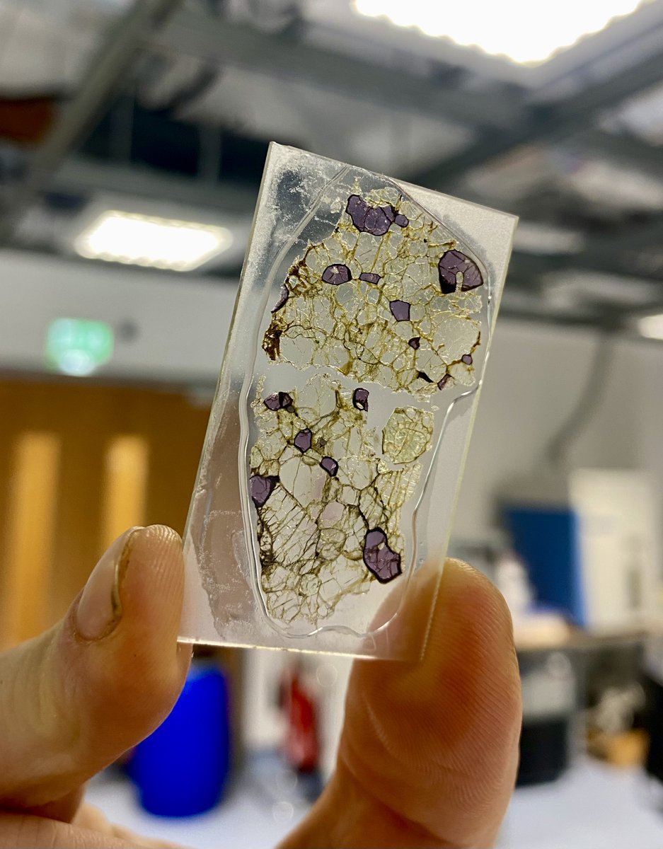 UCD Earth Sciences (@ucd_earth_sci) on Twitter photo Today in our lab, the NCIG, we have Gary O'Sullivan <a href="/gjosulli/">Gary O’Sullivan</a> (<a href="/TCDOnTheRocks/">On The Rocks</a>) dating garnets from the mantle using laser ablation U–Pb mass spectrometry. With U contents (much) less than a ppm, this is quite tricky, but going well! #geologyrocks #garnet #diamonds Today in our lab, the NCIG, we have Gary O'Sullivan <a href="/gjosulli/">Gary O’Sullivan</a> (<a href="/TCDOnTheRocks/">On The Rocks</a>) dating garnets from the mantle using laser ablation U–Pb mass spectrometry. With U contents (much) less than a ppm, this is quite tricky, but going well! #geologyrocks #garnet #diamonds