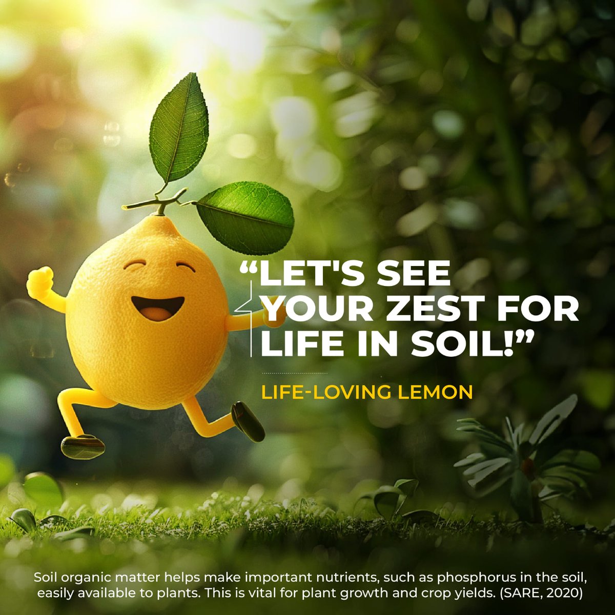 Renu Mann tweet media