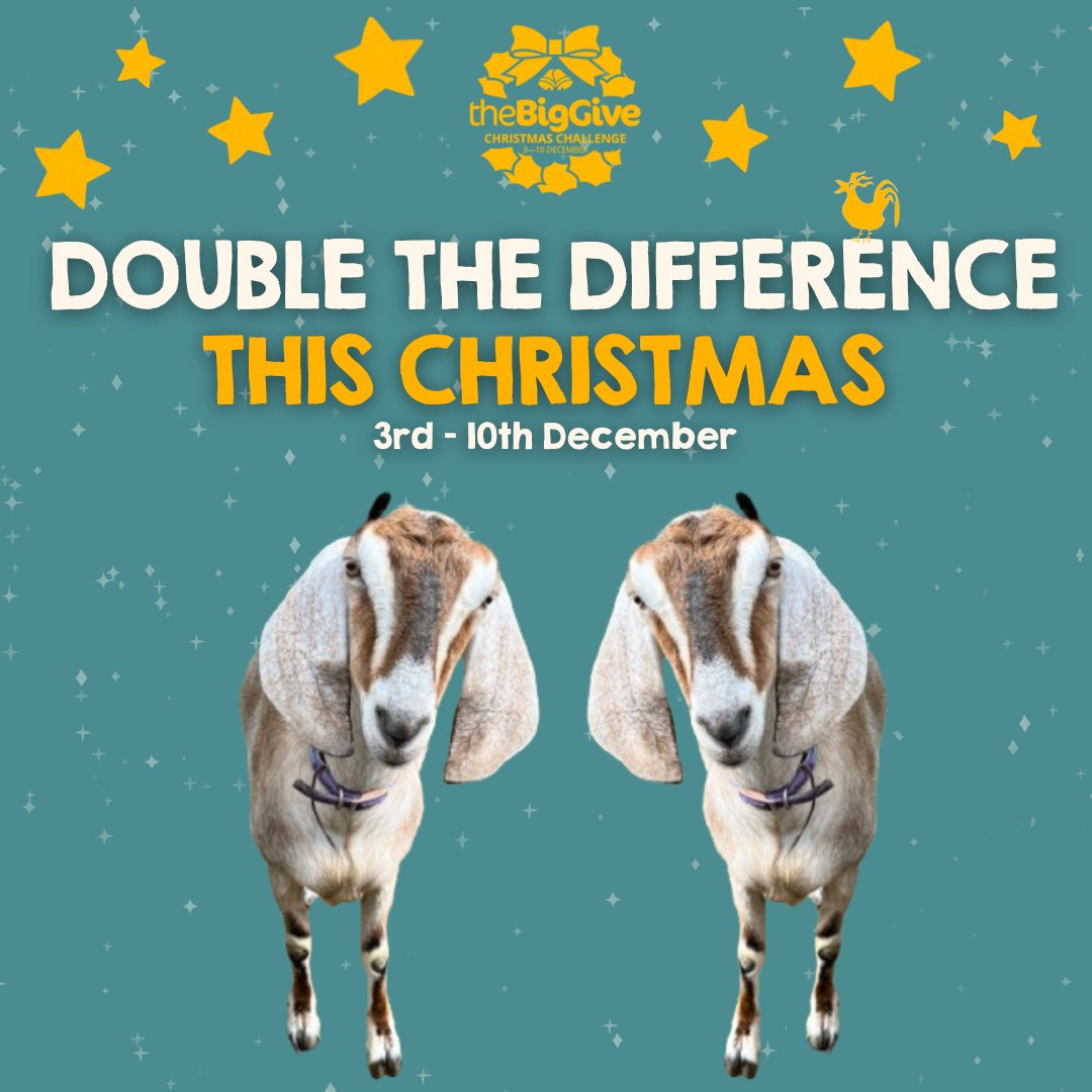 It costs £45 to feed Crumble the goat for a month🐐 Help her feed go further this Christmas!

Donate via the Big Give by Dec 10th, and your gift will be DOUBLED! 
bit.ly/swcfBigGive