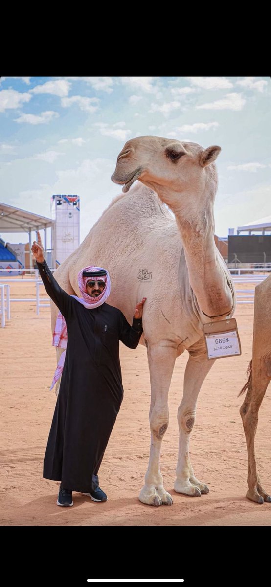 falehqasham's tweet photo. لا احتمى الشوط الحماسي فجايزة الامام
احتزم ، واعصابة الراس يطرخها السطر

لـ اسعديٍ ، لا احتمى الشوط في يوم الزحام
ماتعذّر وان حضر قلّط الموت الحمر

شيخة الوان المغاتير مافيها كلام
وشوطها محسوم ، قدام يعلن من ظهر

زينها لاروحت عقب تقليد الوسام
والحشود امن الجماهير مطغيها الدجر https://t.co/RmqKGkWkkU
