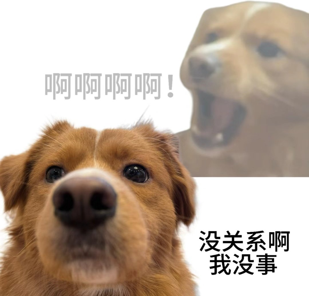 QingWo41572's tweet photo. 到底是谁在做啊？！ https://t.co/L1czMm9xYw