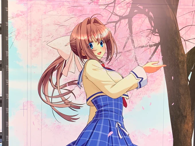 桜まだ途中だけどね 