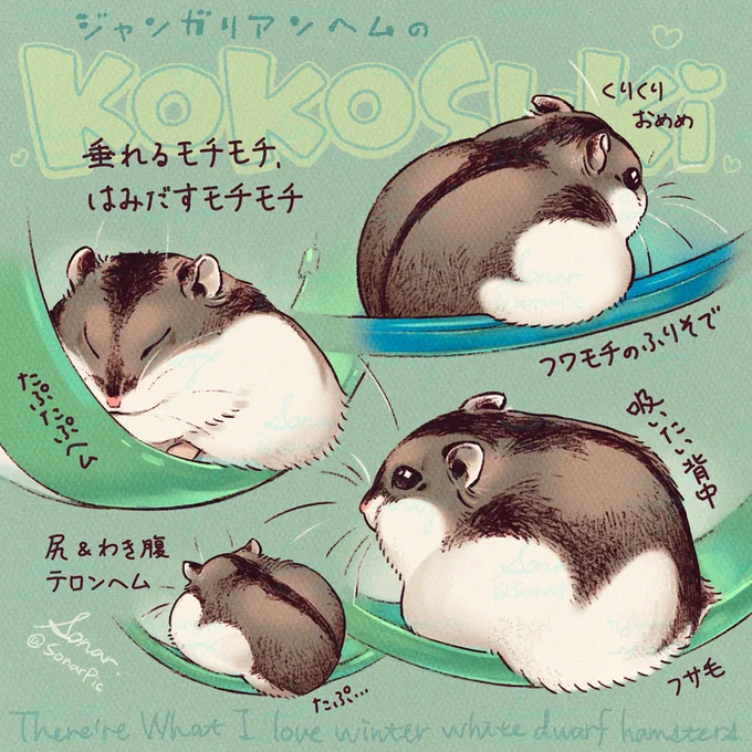 回し車のふちから垂れてたり、餌皿のふちに乗ってたりするモチモチフサフサ大好き。脇腹が垂れてるのもかわいいが、普段は肩や脇と一体化して目立たないのに稀に突然存在を主張してくる上腕モフがレア感あって特に好き
#ハムスター 