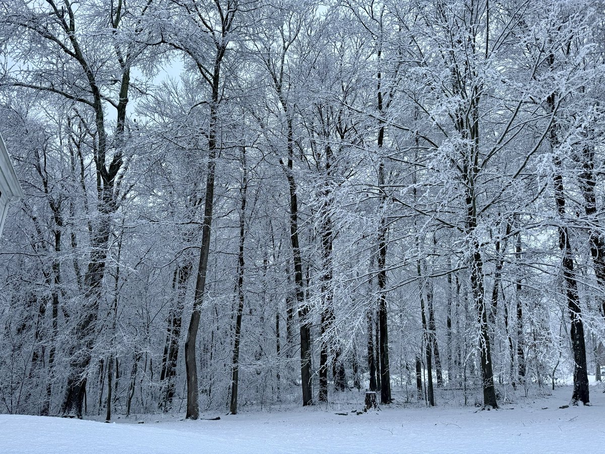 Tanisha Bergeron tweet media