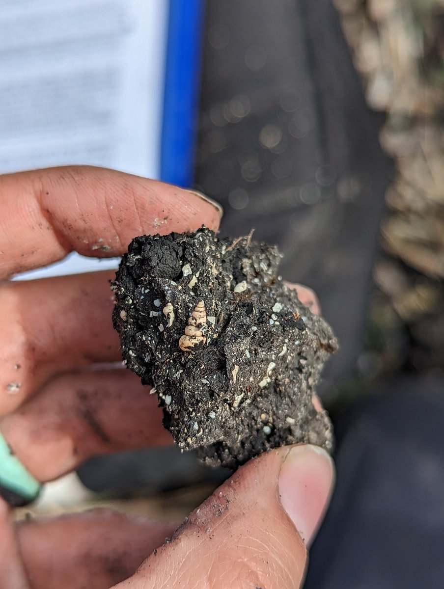 MierMur's tweet photo. Happy World Soil Day. Grateful for the people in my life that showed (and continue to show) me the world beneath our feet. https://t.co/cHPxwPaq8T