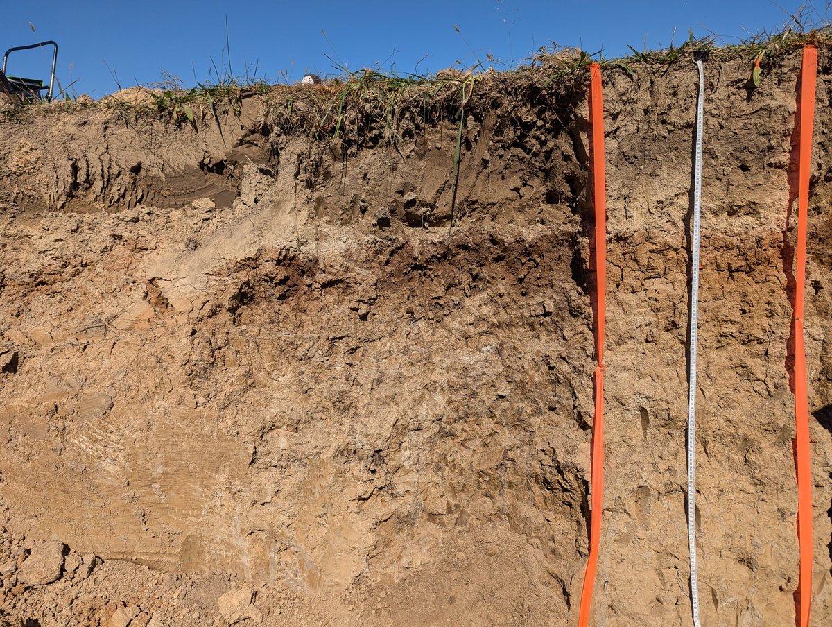 MierMur's tweet photo. Happy World Soil Day. Grateful for the people in my life that showed (and continue to show) me the world beneath our feet. https://t.co/cHPxwPaq8T